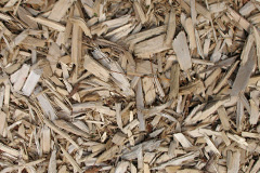 biomass boilers Brunant