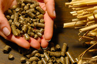 free Brunant biomass boiler quotes